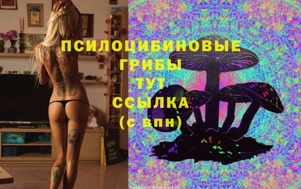 индика Алексеевка