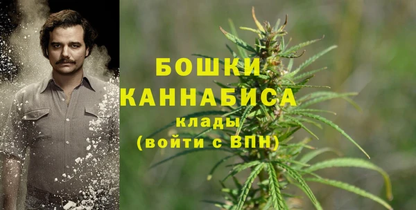 ALPHA-PVP Аркадак