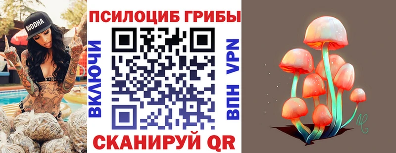 где найти   Лениногорск  Псилоцибиновые грибы Magic Shrooms 