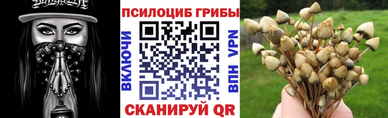 Псилоцибиновые грибы Cubensis Лениногорск