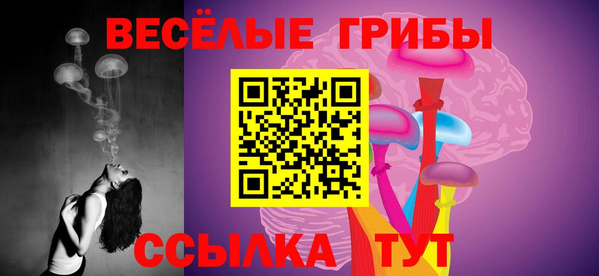 Галлюциногенные грибы Magic Shrooms  Вход с VPN  Лениногорск 